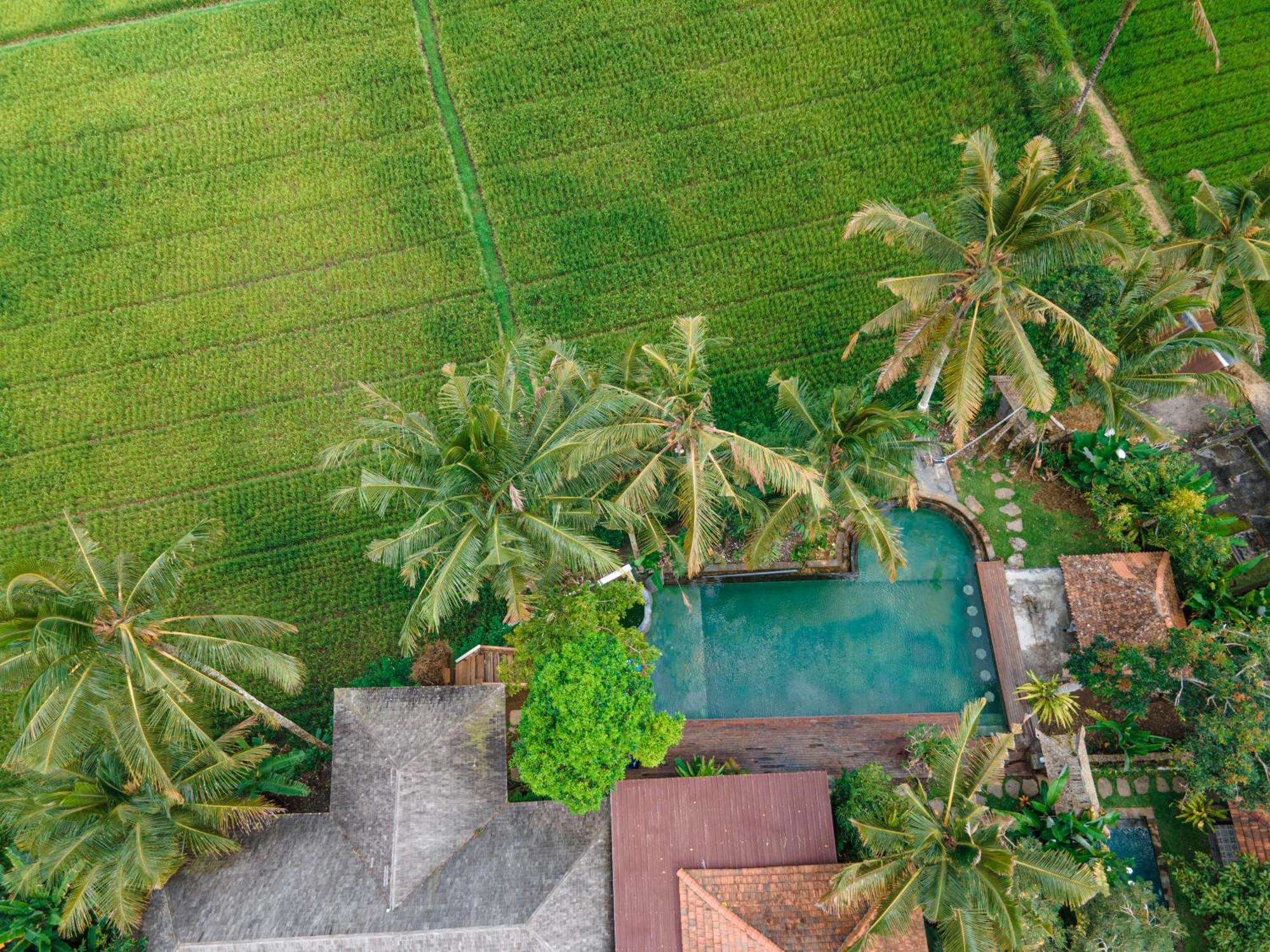 Tampaksiring Uma Linggah Resort By Puri Signatures מראה חיצוני תמונה
